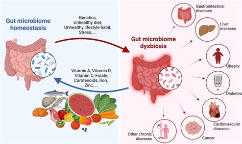 The Human Gut Microbiome Not Only Matters For Balanced Digestive Health