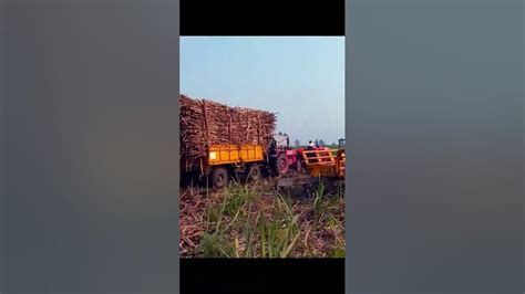 My Kubota Tractor Pulling Sugarcane Tractor Trailer Fast