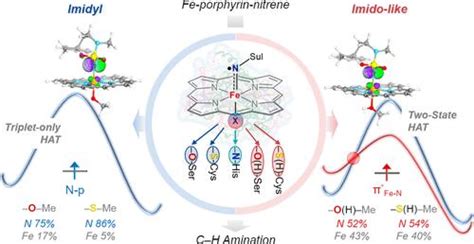 轴向配位如何调节Fe 卟啉 氮烯的电子结构和C H胺化反应活性 JACS Au X MOL