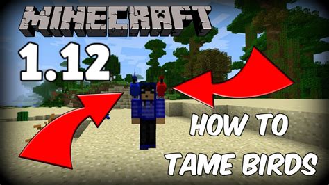 16 How To Tame A Parrot In Minecraft