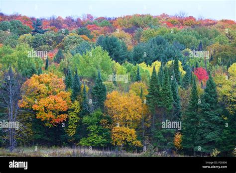 Indian Summer Canada Hi Res Stock Photography And Images Alamy