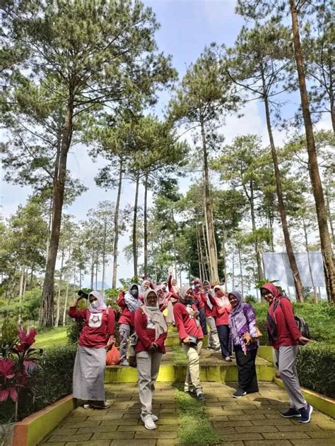 Wana Wisata Bumi Perkemahan Alastuwo Magetan Panorama Hutan Pinus