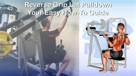 Reverse Grip Lat Pulldown: Your Easy How-To Guide