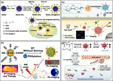 Synergistic Therapy Of Cds A Imaging Guided Drug Delivery Reproduced