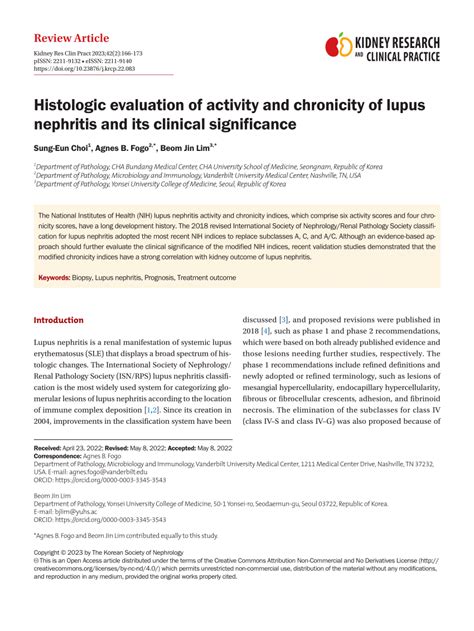 Pdf Histologic Evaluation Of Activity And Chronicity Of Lupus