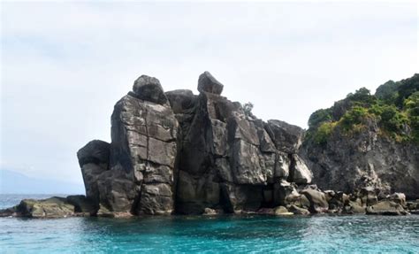 Apo Island Snorkeling Tour