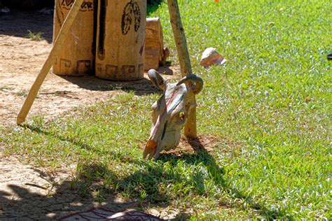 Old Native Cuban Ritual Objects Stock Photo Download Image Now