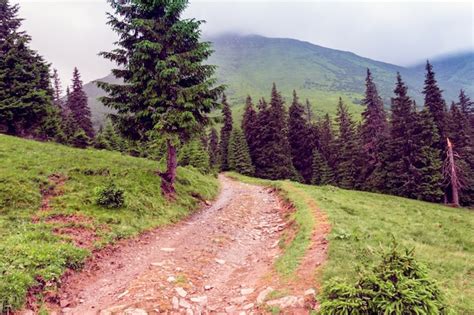 Premium Photo | Landscape of a carpathians mountains with footpath