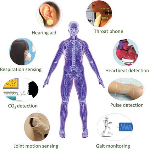 Schematic Diagram Showing Typical Applications Of Tengs For Health