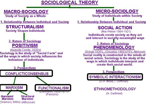 Theories On Sociological Perspective