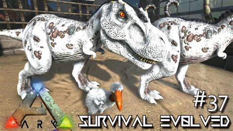 Ark Survival Evolved Baby Terror Bird Trex Breeding Season