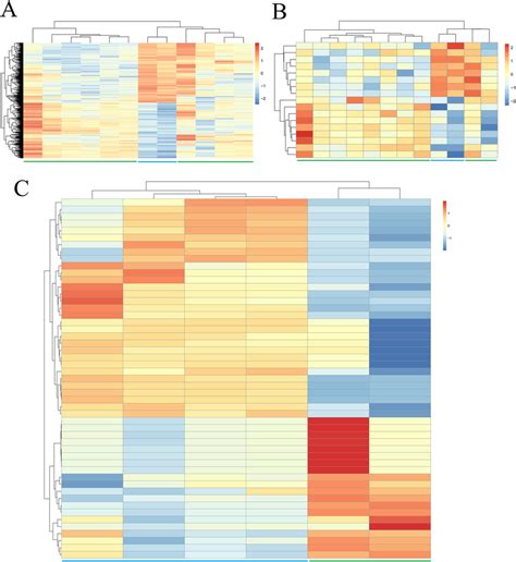 Hierarchical Clustering And Heat Map Analysis Of Differentially Download Scientific Diagram