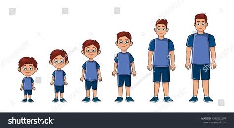 growing stages boy man stock vector royalty