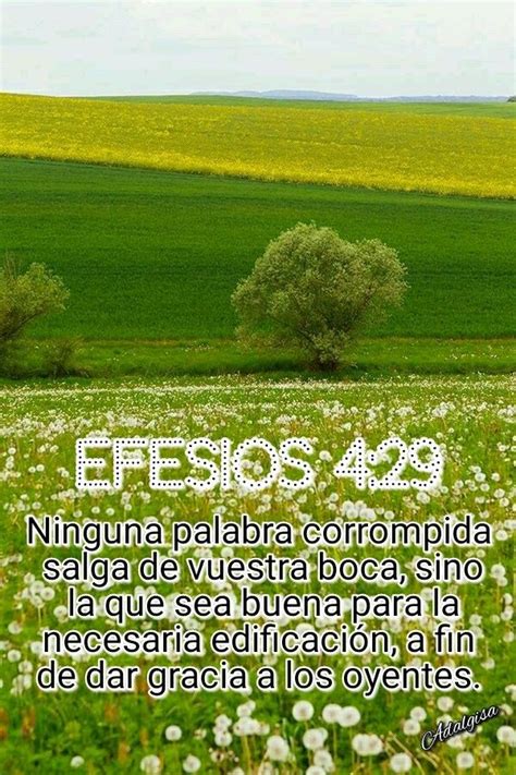 Dios Te Bendiga Hoy Miércoles Junio 6 2018 Mas Yo Os Digo Que De