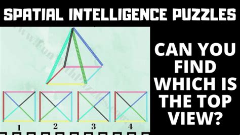 Quick Spatial Reasoning Puzzles With Answers