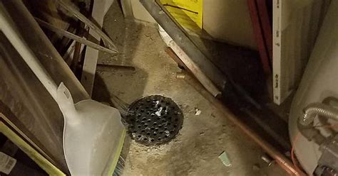 Basement Drain Album On Imgur