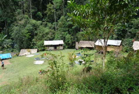 Hike the Kokoda Trail | Kokoda Trail Tours | Wild Trek Tours