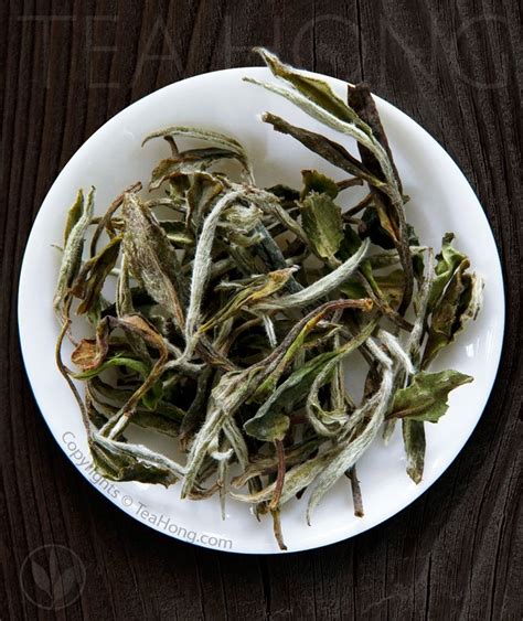 Taiping Houkui Traditional, green tea of shidaye cultivar – Tea Hong