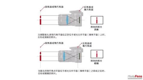 学习摄影 学会对焦轻松拍摄拍摄技巧对焦快门新浪科技新浪网