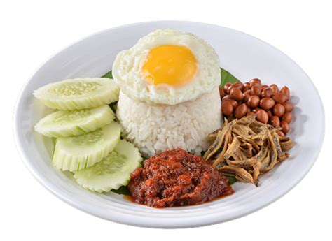nasi lemak ayam goreng  bistro