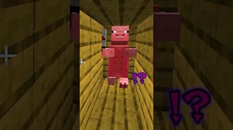 友達から「無視される」マインクラフト😨その理由は？ぴこみんず Minecraft Summary マイクラ動画