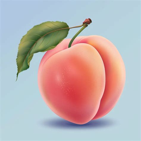 Why Do Peaches Have A Butt Crack Sarai Chinwag