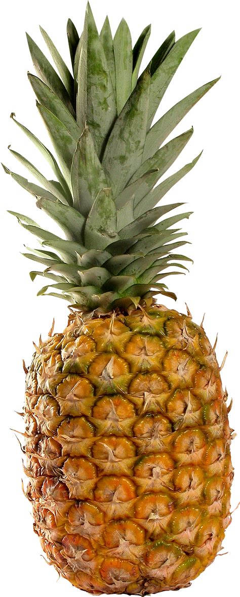 head clipart pineapple head pineapple transparent