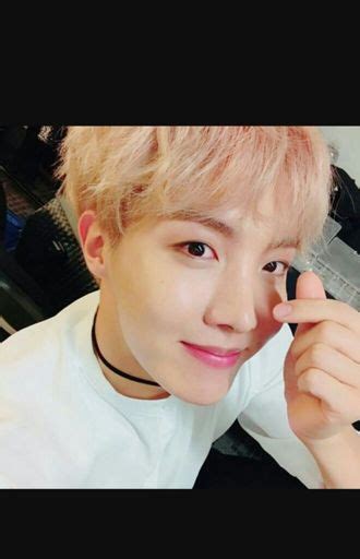 Jung Hoseok Wiki Bts Fan Cafe Amino