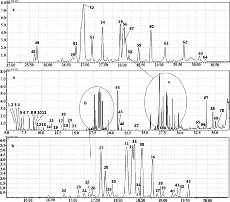 Total Ion Chromatogram Of Reference Sample Download Scientific Diagram