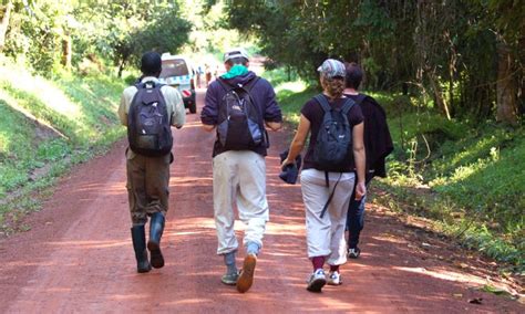 Ultimate Packing List For A Mabira Forest Adventure Safari