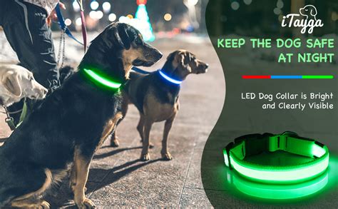 Collier Lumineux Chien Itayga Collier Led Chien Rechargeable Par Usb