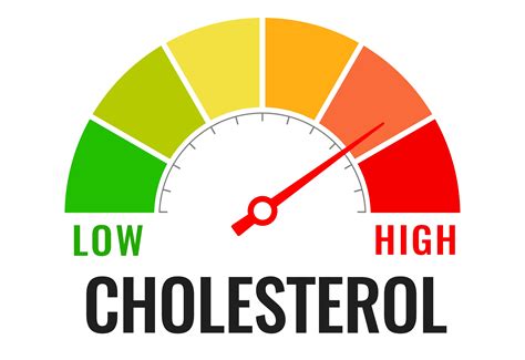 6 Herbs And Supplements That Lower Cholesterol Naturally