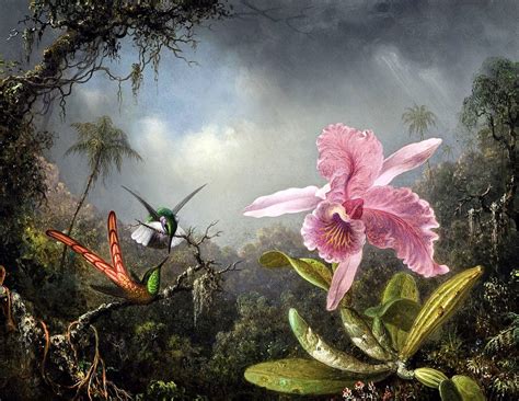 Orchid With Two Hummingbirds Painting By Martin Johnson Heade Etsy