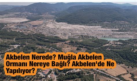 Akbelen Nerede Muğla Akbelen Ormanı Nereye Bağlı Akbelen de Ne