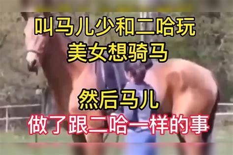 “叫马儿少和二哈玩”美女想骑马，然后马儿，做了跟二哈一样的事