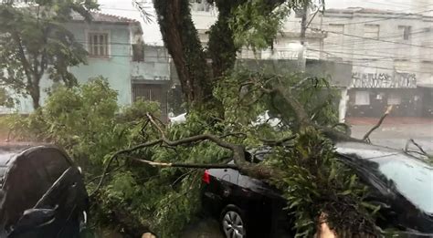 Sobe para seis o número de mortos por temporal em São Paulo Sociedade