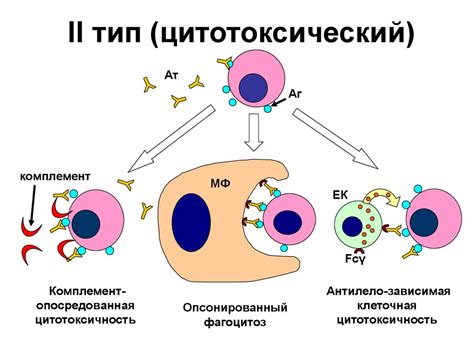 Аллергия. Аллергены - online presentation