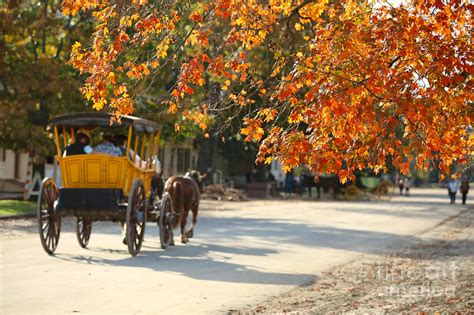 Fall In Colonial Williamsburg Photograph By Rachel Morrison Fine Art