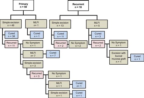 Surgical Outcomes Of Primary And Recurrent Female Urethral Diverticula