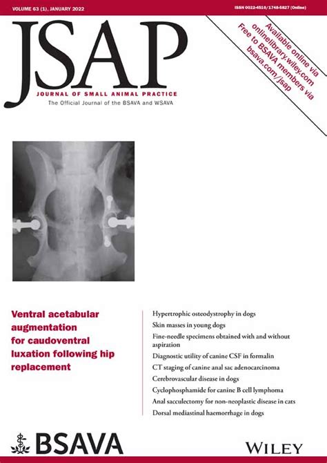 Artificial Urethral Sphincter In Male Dogs With Urethral Sphincter