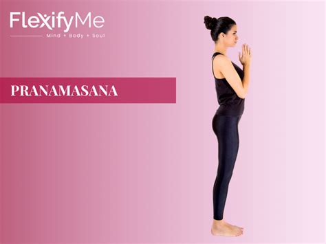 surya namaskar  steps sun salutation flexifyme