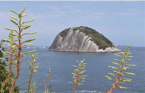 Biodiversidade Do Monumento Natural Das Ilhas Cagarras MONA Cagarras