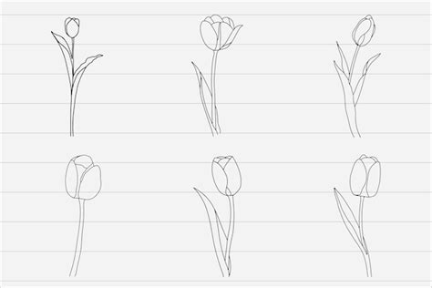 Premium Vector Tulip Flowers Clipart Svg Graphics Vol3