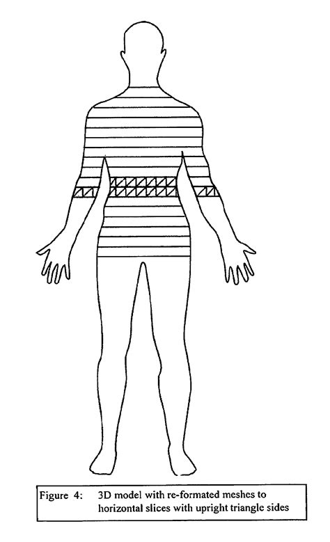 D Body Scanner Data Processing Flow Patent Grant Farahbakhshian Et