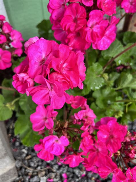 Rockford Farm Market | Rockford AL