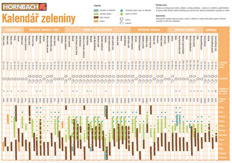 Kalendář na celý rok aneb kdy sázet a jak pěstovat zeleninu