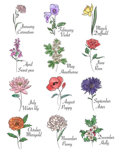 Discover Your Birth Flower With A Beautiful Chart