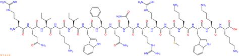 Antennapedia Peptide Acid H N Arg Gln Ile Lys Ile Trp