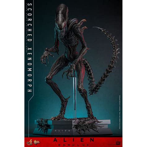 Hot Toys Alien Romulus Scorched Xenomorph MMS Figurine