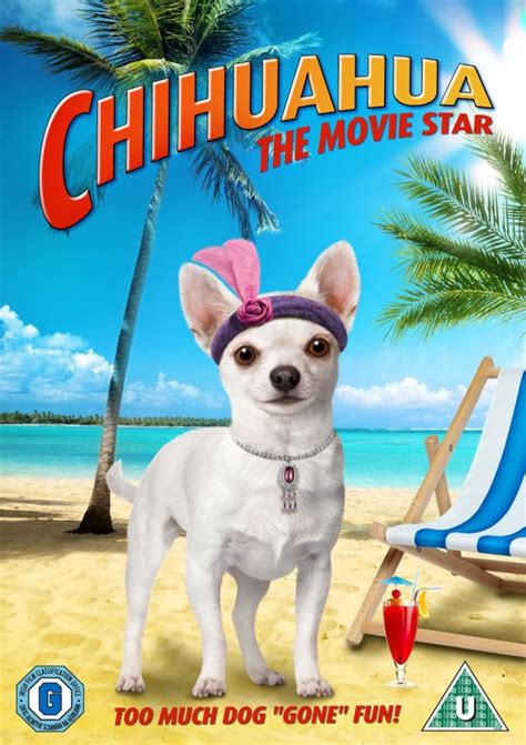 Chihuahua The Movie Star DVD | Zavvi